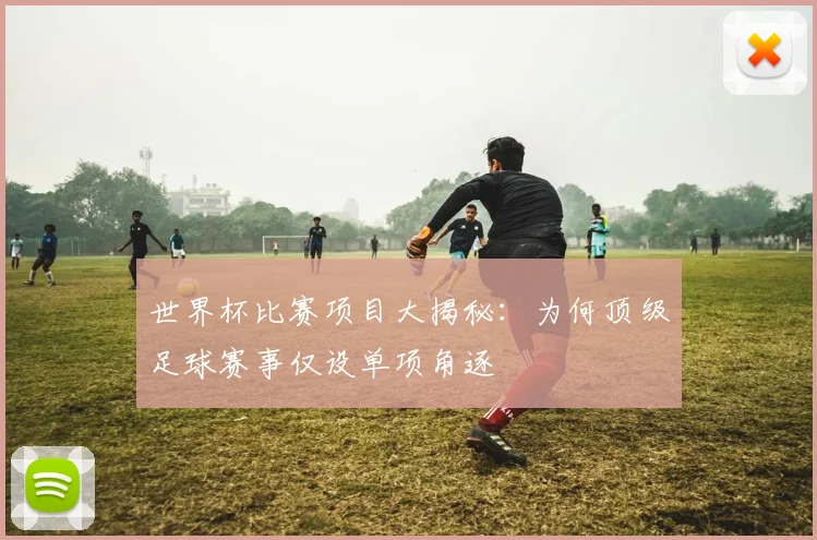 世界杯比赛项目大揭秘：为何顶级足球赛事仅设单项角逐