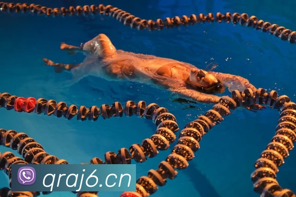 多媒体互动体验